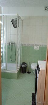 Ponúkam na dlhodobý prenájom slnečný,zariadený dvojizbový by