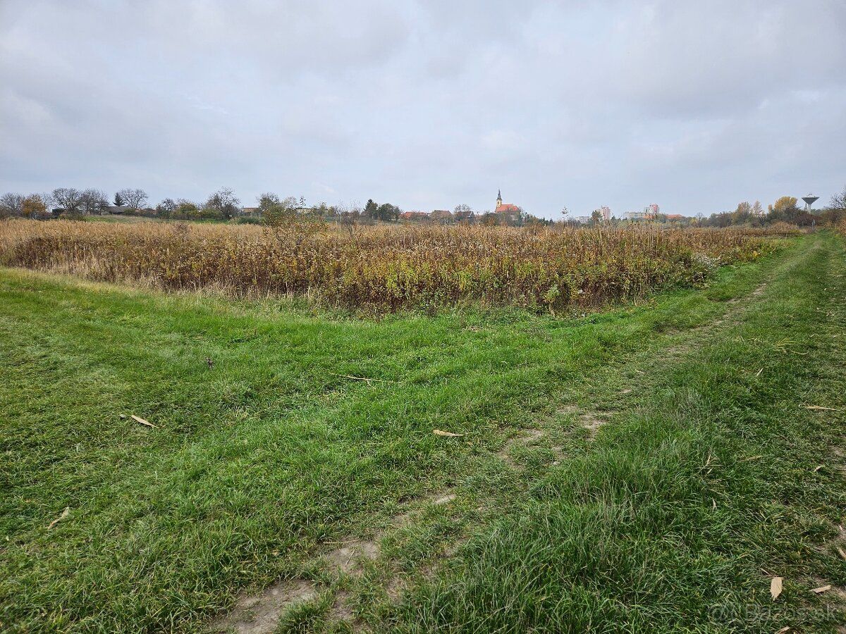 Investicny pozemok Stupava - Mast STUPAVA pozemok o výmere 4