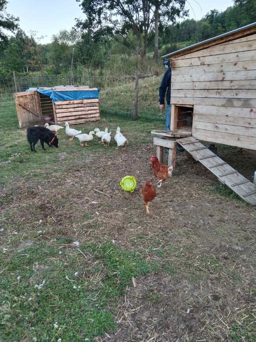 Realitná kancelária KARIN & PARTNERS ponúka vo výhradnom zas