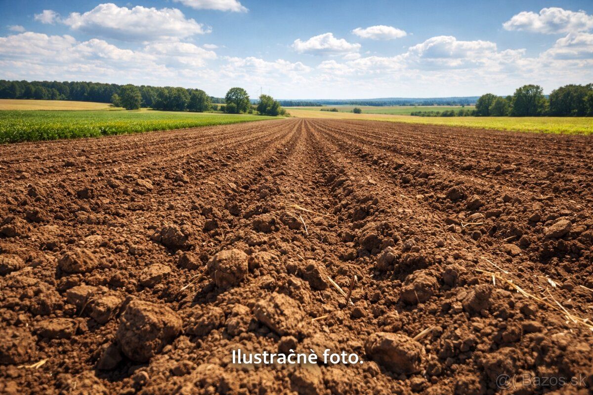 Zoberiem ornú pôdu alebo ttp na dlhodobý prenájom na poľnoho