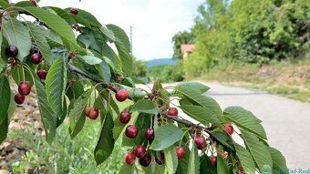 Sú ľudia, ktorí hľadajú modernú novostavbu s bazénom a welln