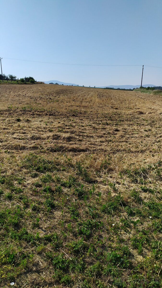 Ponúkam na predaj cca 2500m2 slnečného stavebného pozemku, k