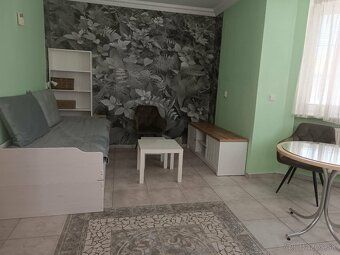 Prenajmem zariadený 1 izbový byt v centre mesta Dunajská Str