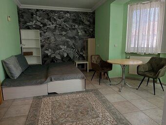 Prenajmem zariadený 1 izbový byt v centre mesta Dunajská Str