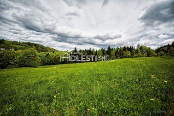 Ponúkame Vám na predaj dva susediace pozemky v obci Skalité.