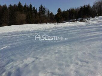 Ponúkame Vám na predaj dva susediace pozemky v obci Skalité.