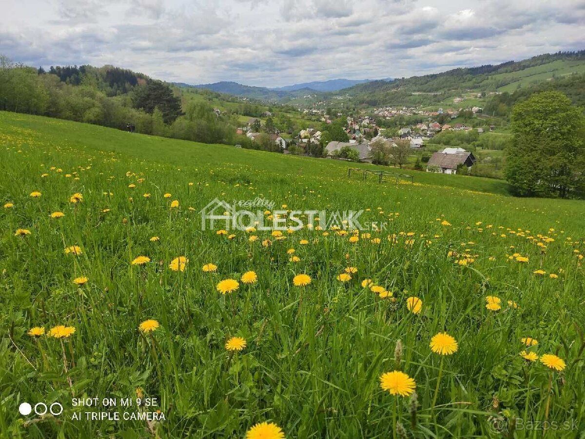 Ponúkame Vám na predaj dva susediace pozemky v obci Skalité.