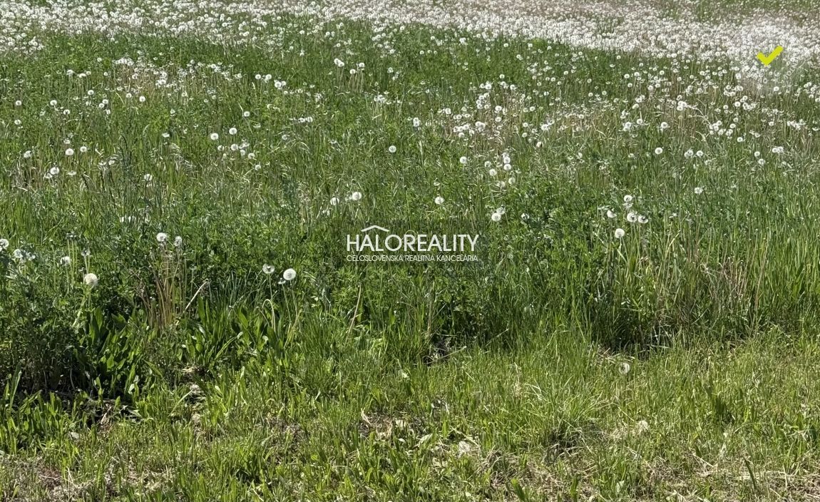 Realitná kancelária HALO reality a Andrea Kovarčíková, konta