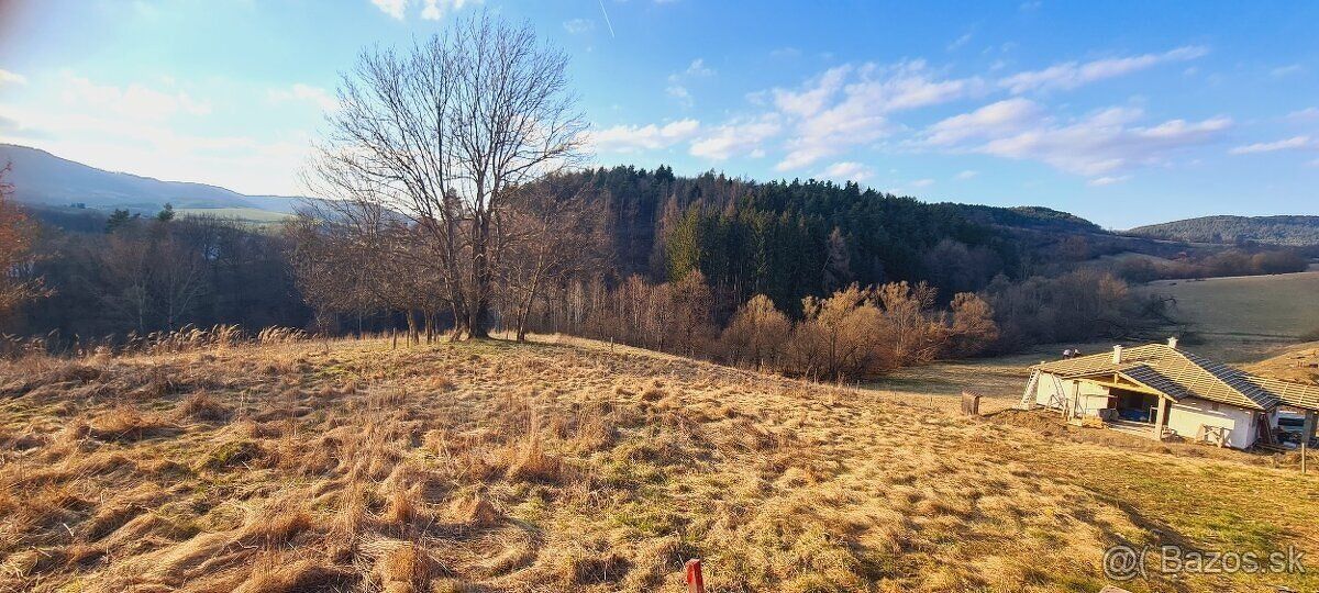 Predám stavebné pozemky v Púchove- časť Vieska-Bezdedov 👉 vý