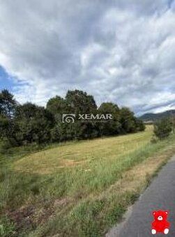 Predam cca 46 000m2 lesnych pozemkov na viacerych parcelach 