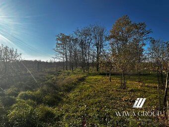 🌳 Na predaj: pozemok 1104 m² s vinohradníckym domčekom
📍 Rad