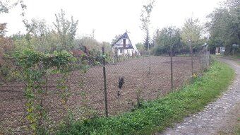 Predam 4arovu zahradku v OV v zahradkarskej oblasti Stašov, 