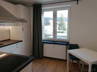 Dám do prenájmu 1 izbový byt (30m2) v centre mesta na ulici 