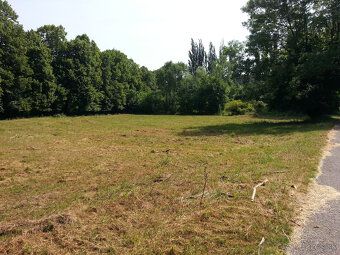 Predaj pozemkov, ktoré sú situované na okraji Pezinka, smero
