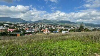 Realitná kancelária AVLAS REALITY Vám ponúka na predaj veľký