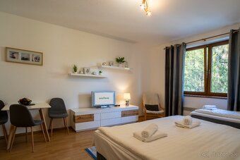 Apartmán (33 m², 2+1 osoby) Plne vybavená kuchyňa, obývačka 