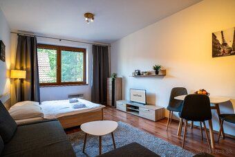 Ponúkame priestranný a moderný apartmán vo Wellness Apartmán