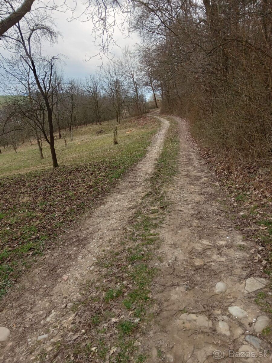 Ponúkam na predaj pozemok v katastrálnom území Hrabovka, evi