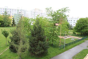 Ponúkam do nájmu 3 izbový byt na Osikovej ulici na sídlisku 