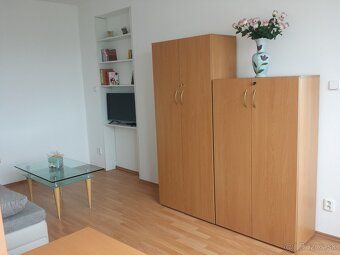 Ponúkam na prenájom 1-izbový slnečný byt na Kramároch, Kleno