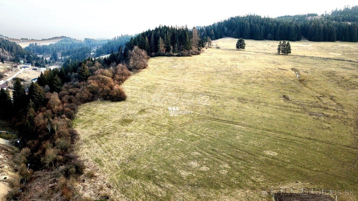 Ponúkame Vám na predaj pozemok o výmere 7699m2 v obci Snežni