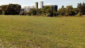 Predam ornu podu.Kataster Dezerice o vymere 17,5ha v celku.2
