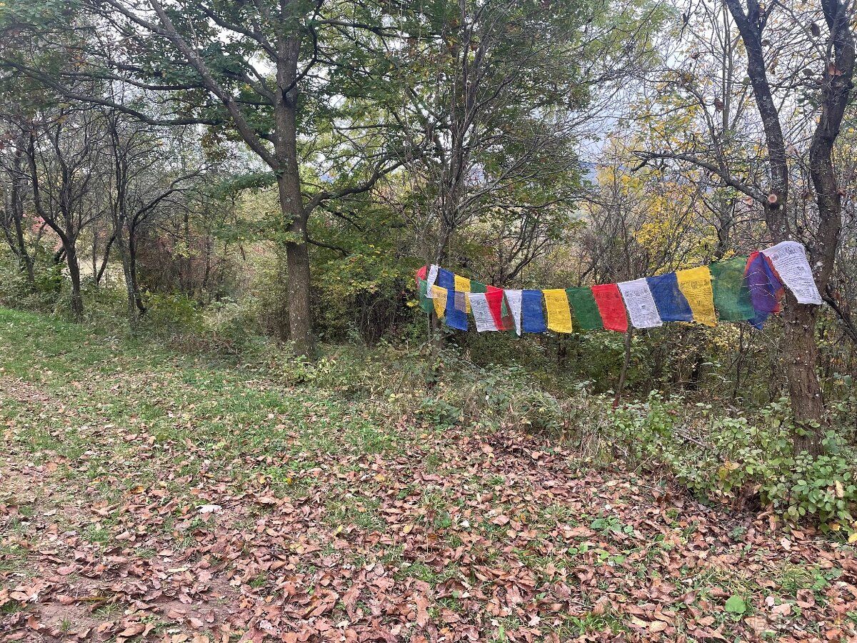 Predam krasnu zahradu 2041m2 v Novej Bosaci, oblast Spanie, 