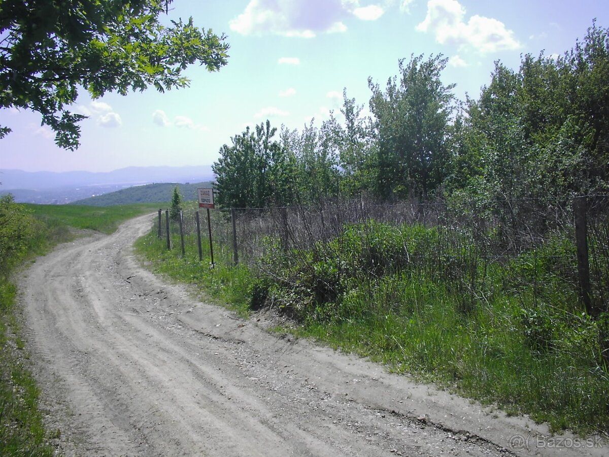 Predám pozemky v Kavečanoch v rozlohe 15 000 m2/ 1,5 hektára