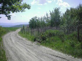 Predám pozemky v Kavečanoch v rozlohe 15 000 m2/ 1,5 hektára