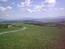 Predám pozemky v Kavečanoch v rozlohe 15 000 m2/ 1,5 hektára