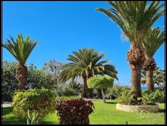 🏝️ Na predaj: Apartmán na Tenerife – každoročný pobyt v 43. 