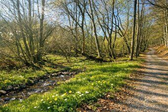 🌲 Na predaj: Rekreačný pozemok 5 637 m² – Priepasné, časť Ko