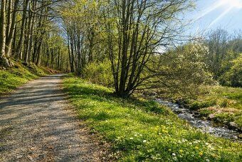 🌲 Na predaj: Rekreačný pozemok 5 637 m² – Priepasné, časť Ko