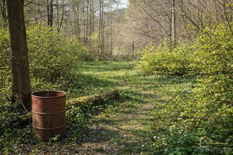 🌲 Na predaj: Rekreačný pozemok 4 942 m² – Ochtiná (okres Rož