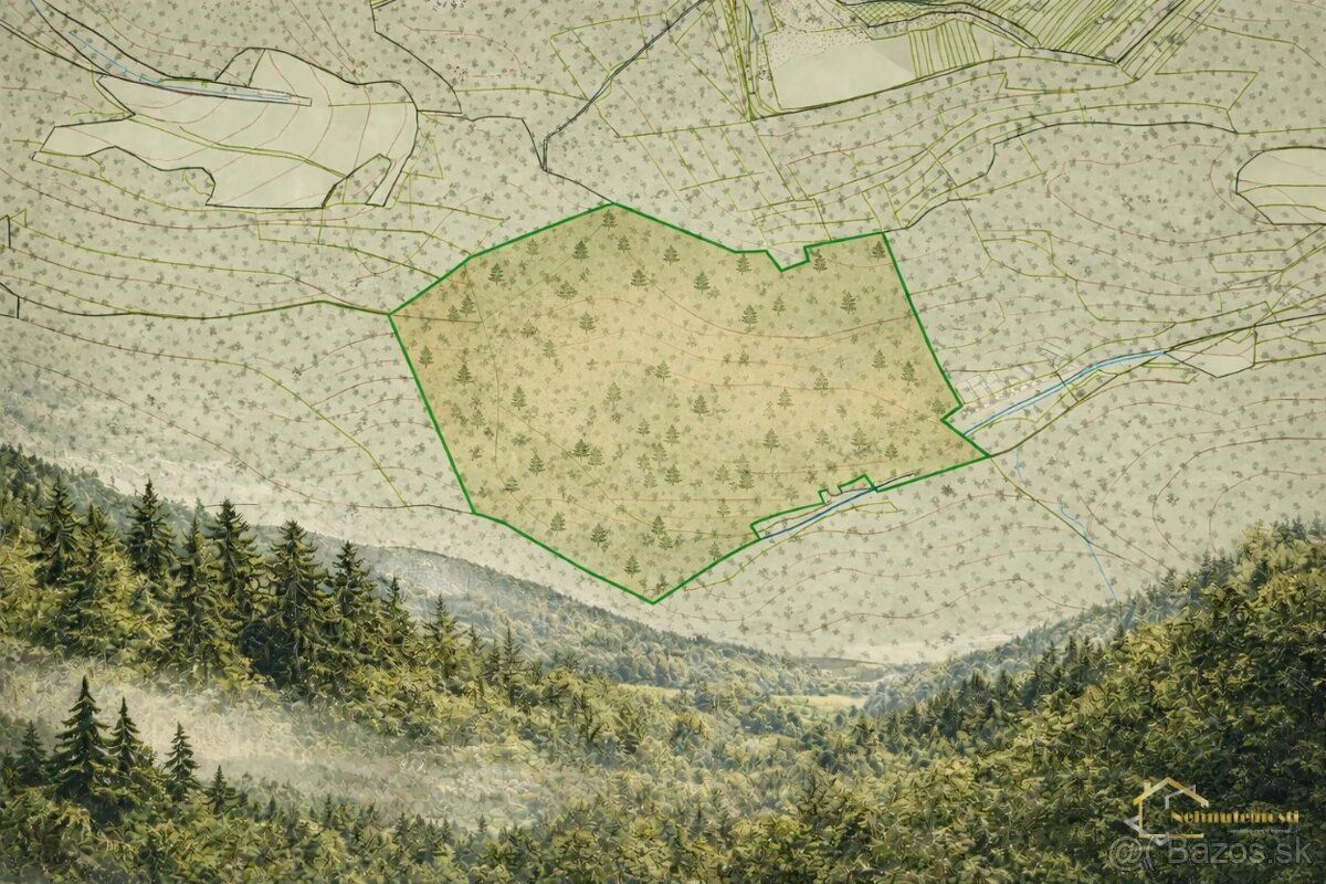 🌲 Na predaj: Urbárske spoluvlastnícke podiely – Košeca (3 87