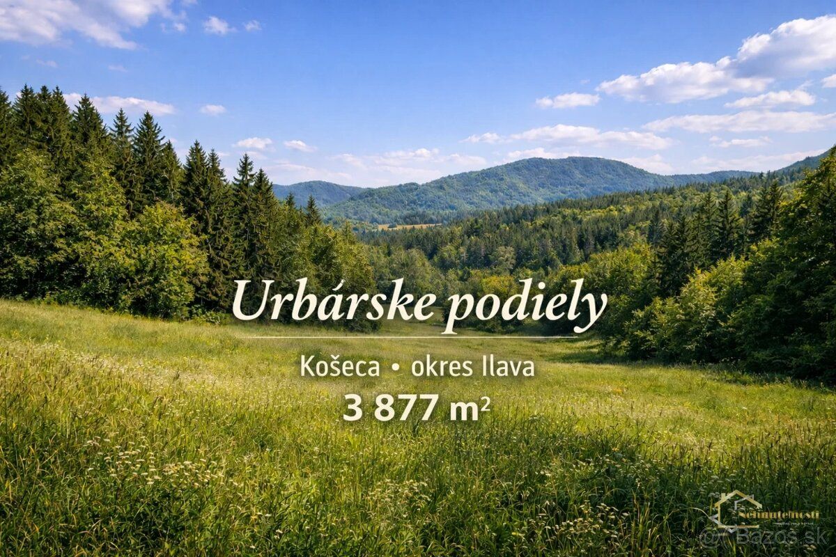 🌲 Na predaj: Urbárske spoluvlastnícke podiely – Košeca (3 87