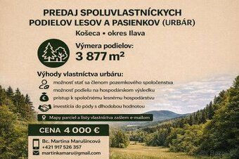 🌲 Na predaj: Urbárske spoluvlastnícke podiely – Košeca (3 87