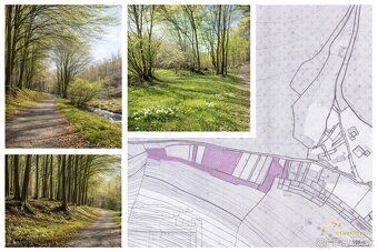 🌲 Na predaj: Rekreačný pozemok 12 214 m² – Priepasné, časť K
