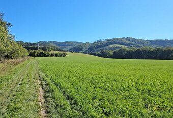 🌲 Na predaj: Rekreačný pozemok 6 469 m² – Košeca, lokalita B