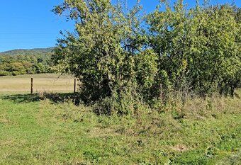 🌲 Na predaj: Rekreačný pozemok 6 469 m² – Košeca, lokalita B