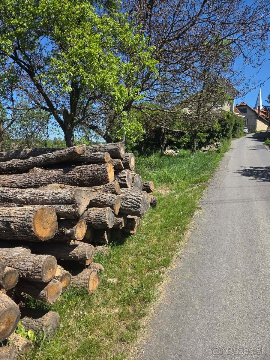 Predam pozemok na Bzoviku okr.Krupina rozloha pozemku 731 m²