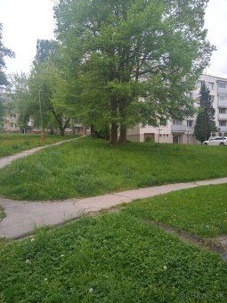 Predam 3 izbovy plus kuchyna velka chodba v povodnom stave s