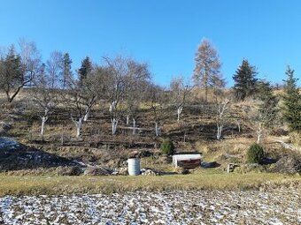 Predám záhradku v Spišskej Belej, bez chatky, cca 500 m2, na