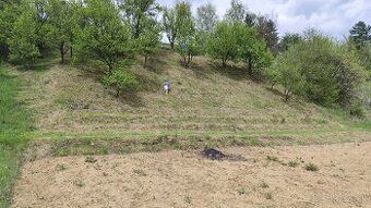 Predám záhradku v Spišskej Belej, bez chatky, cca 500 m2, na