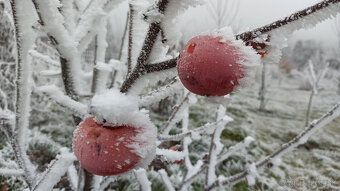 Dom je umiestnený na mierne svahovitom 35á slnečnom pozemku 