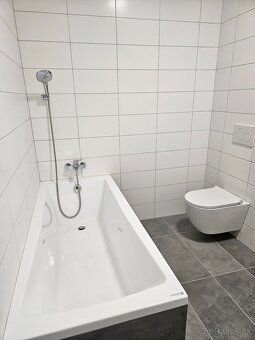 Ponúkam na prenájom úplne nový 1 izbový byt v centre mesta D