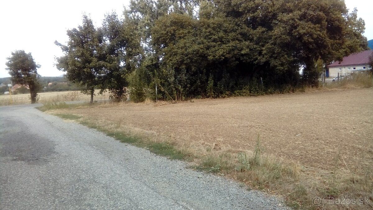 Ponúkam na predaj pozemok s celkovou výmerou 20 000 m² (2 ha