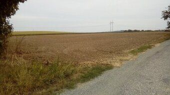 Ponúkam na predaj pozemok s celkovou výmerou 20 000 m² (2 ha