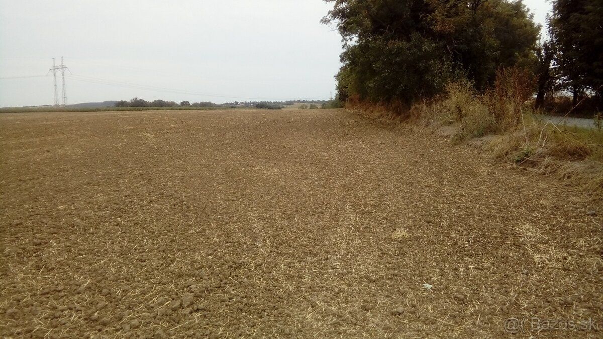 Ponúkam na predaj pozemok s celkovou výmerou 20 000 m² (2 ha