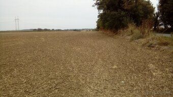 Ponúkam na predaj pozemok s celkovou výmerou 20 000 m² (2 ha